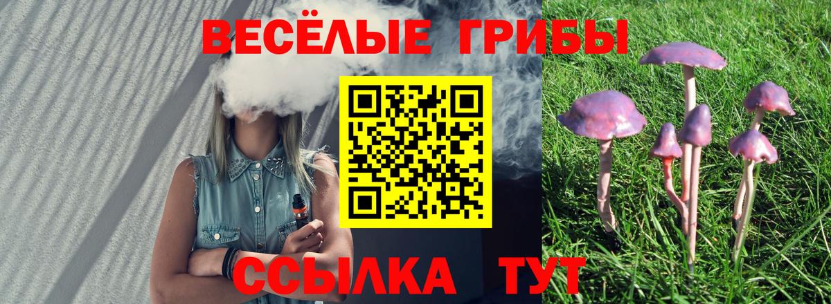 Псилоцибиновые грибы ЛСД  Галлюциногенные грибы мухоморы  Славянск-на-Кубани  Вход с VPN 